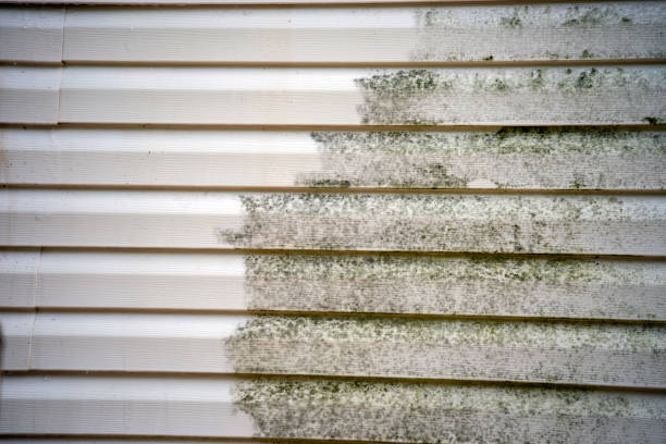 Best Weatherproofing and Sealing  in Maple Heights, OH